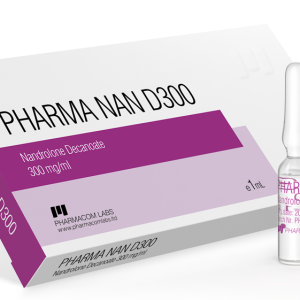 nan-d300-1
